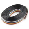 Ribbon Cable-10 Wire 1 Meter