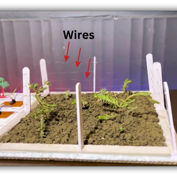 Crop Protection System