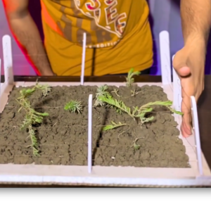 Crop Protection System