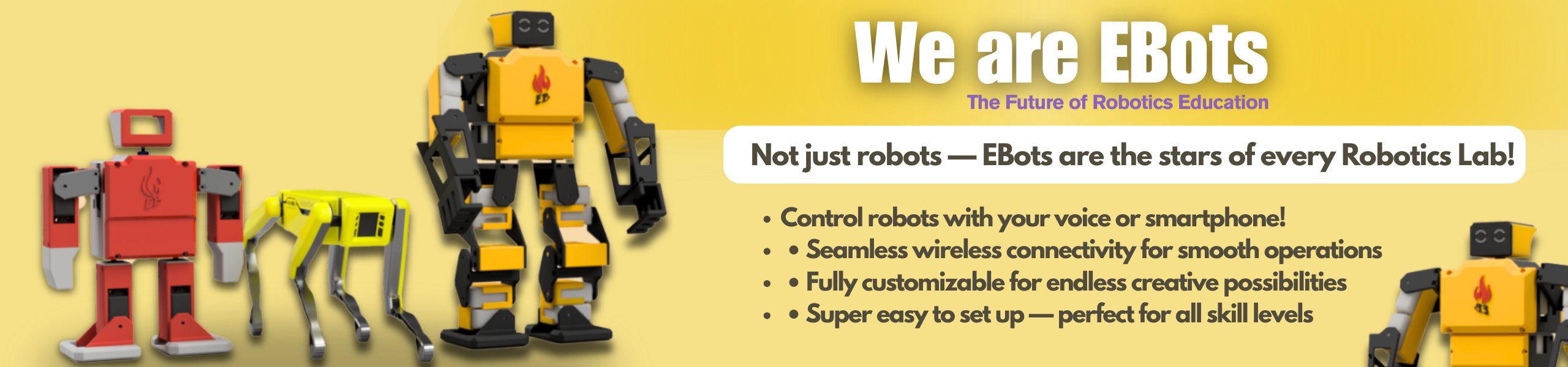 Ebots