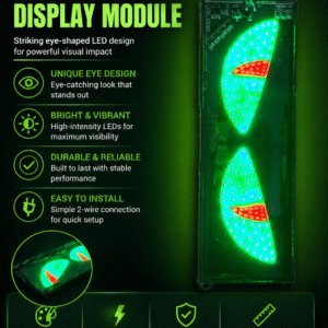 LED Eye Display Module